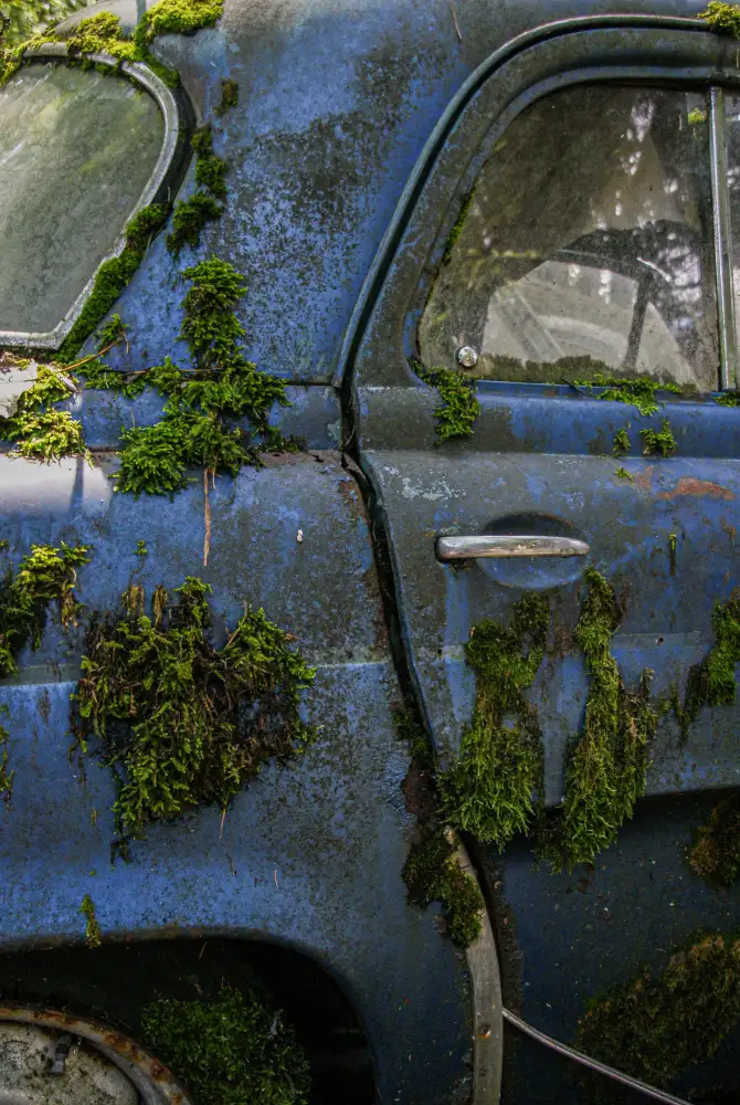 Franke, Ruth: blue and moss