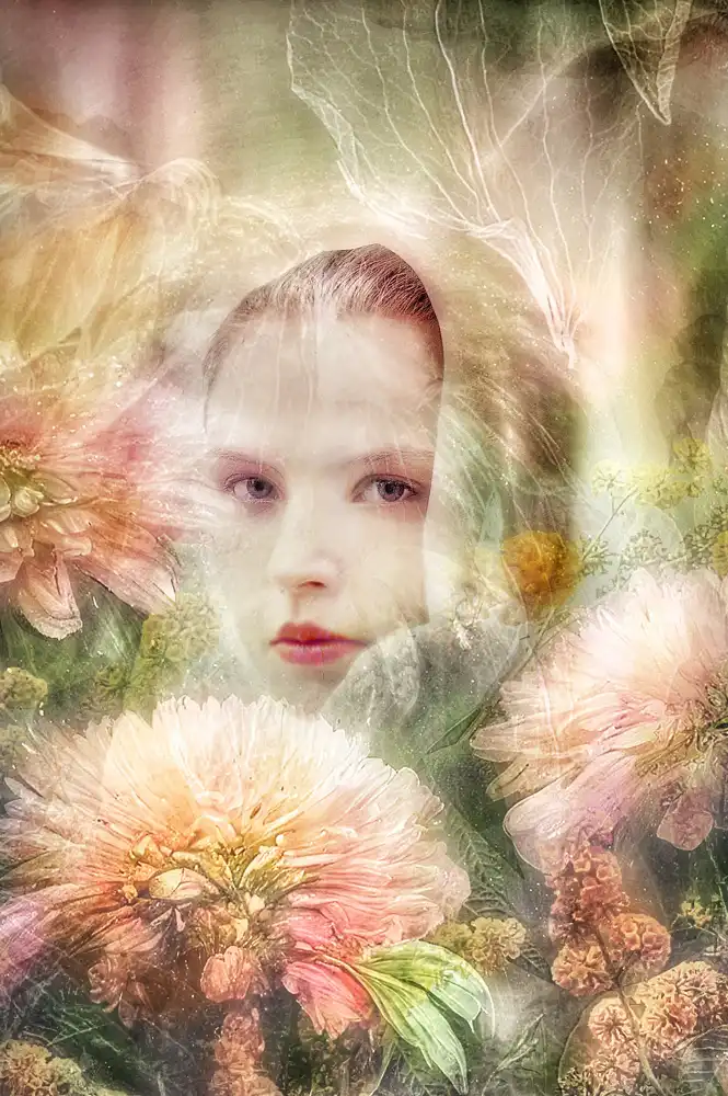 Shumilova, Ludmila: Femme aux chrysanthèmes