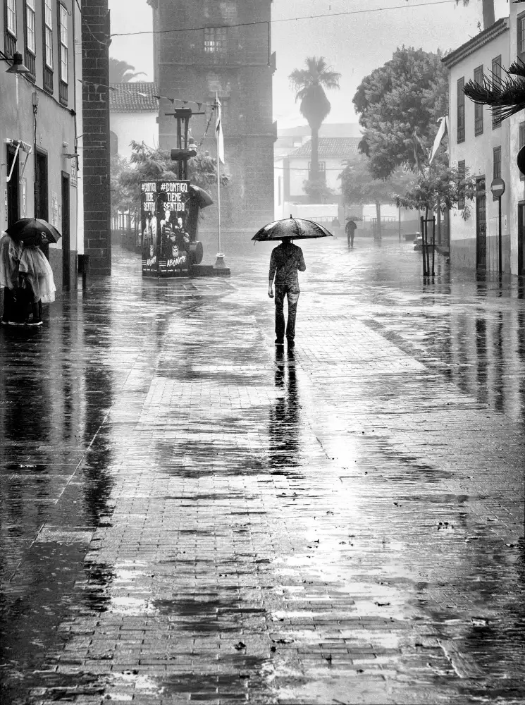 Alviani, Montserrat: Rainy Days