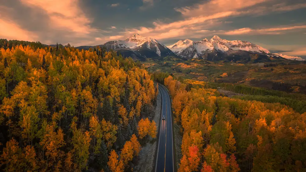 Xu, Mei: Driving in Paradise