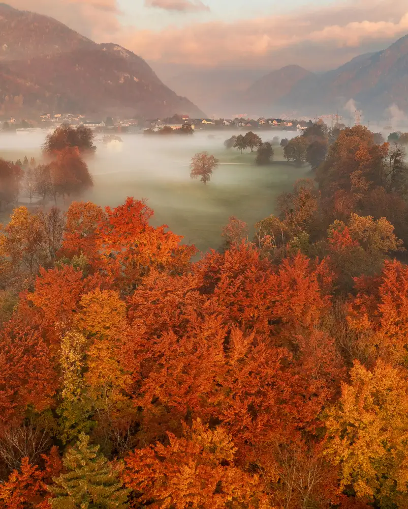 Krivec, Ales: Autumn frame