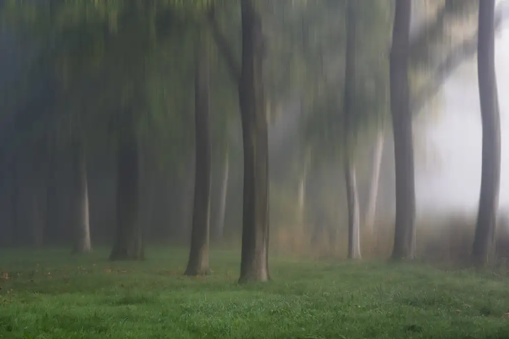Louwen, Fred: Mystischer Park