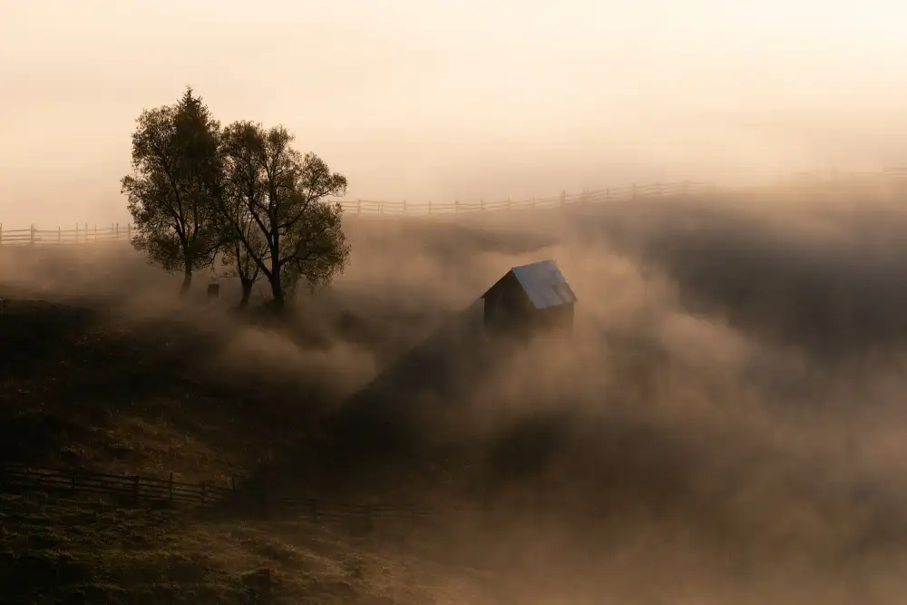 Prioteasa, Sebastian: October Light