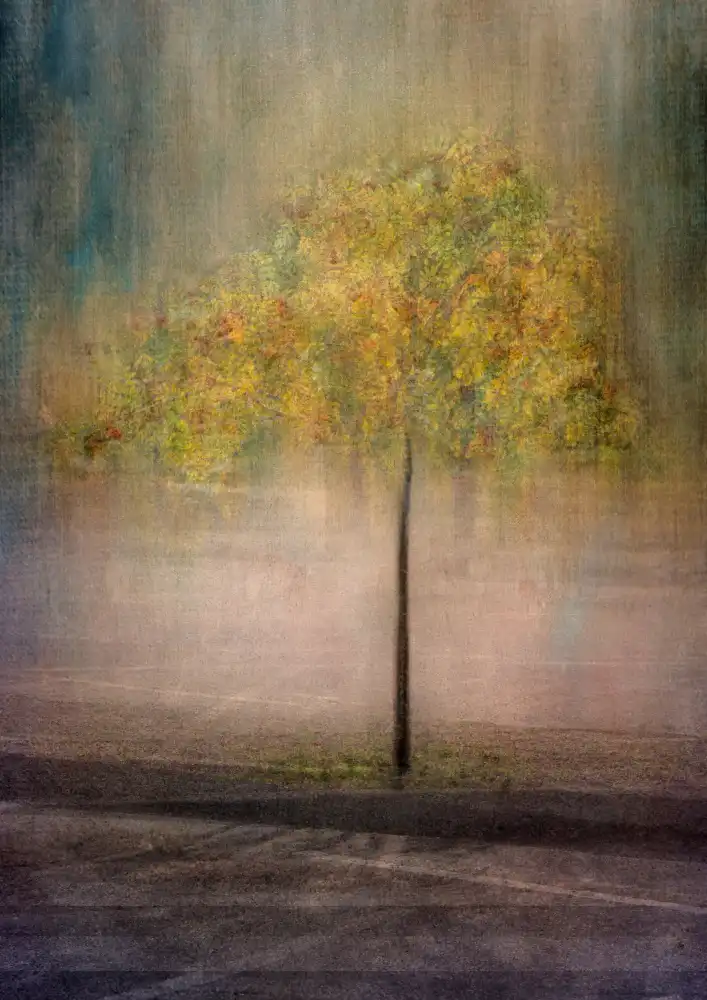 Holmström, Katarina: Rowan in town