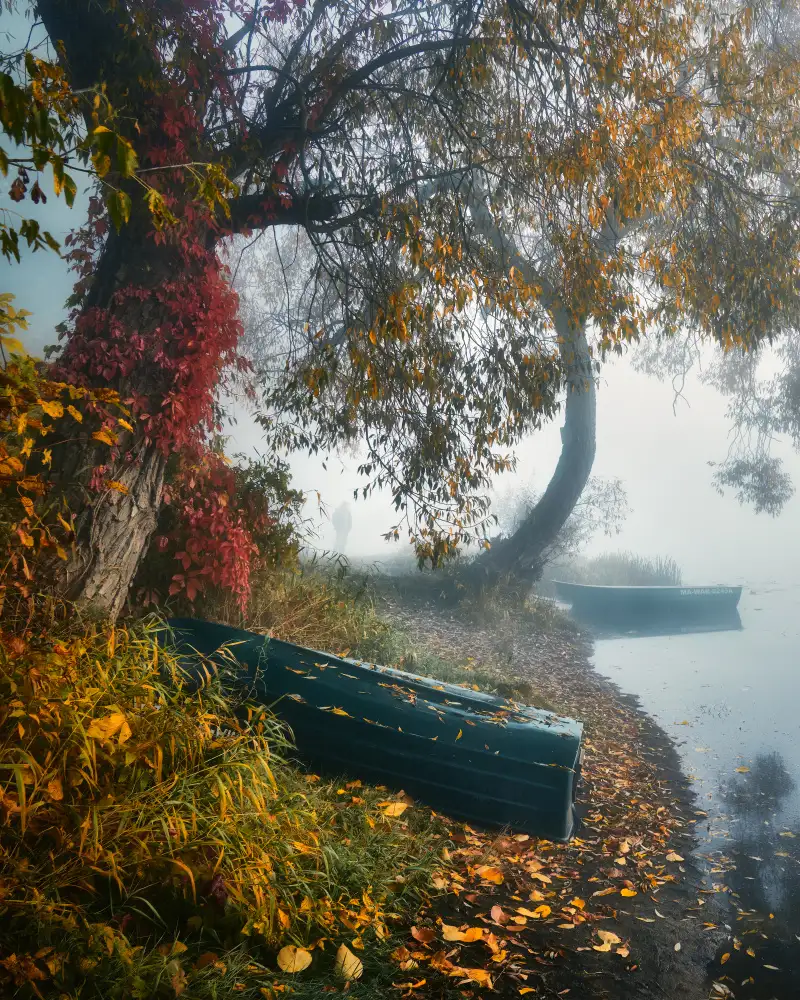 Kado, Pawel: Autumn melancholy