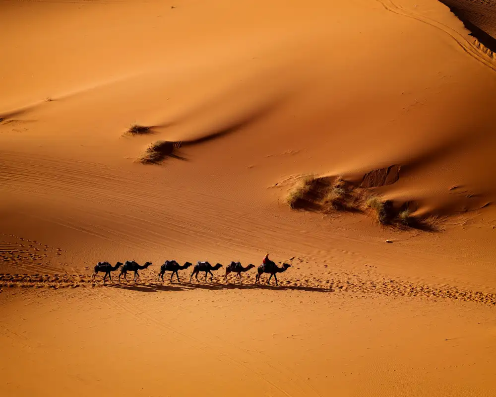 Buliga, Gina: Morocco - the silent of earth