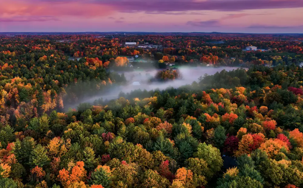 Qiu, Jenny: Una mattina d'autunno in Ontario
