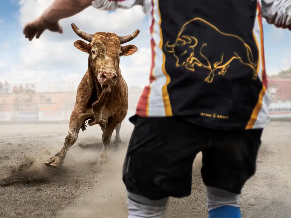 Zhou, Steven: Il toro furioso