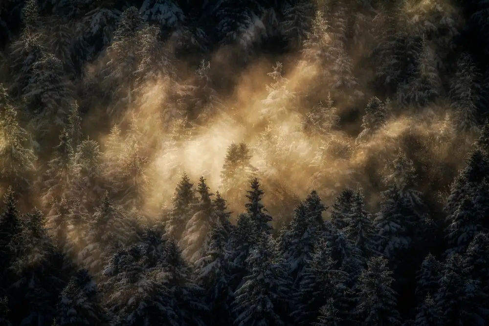 Thierry, Barré: Foggy mountain ...