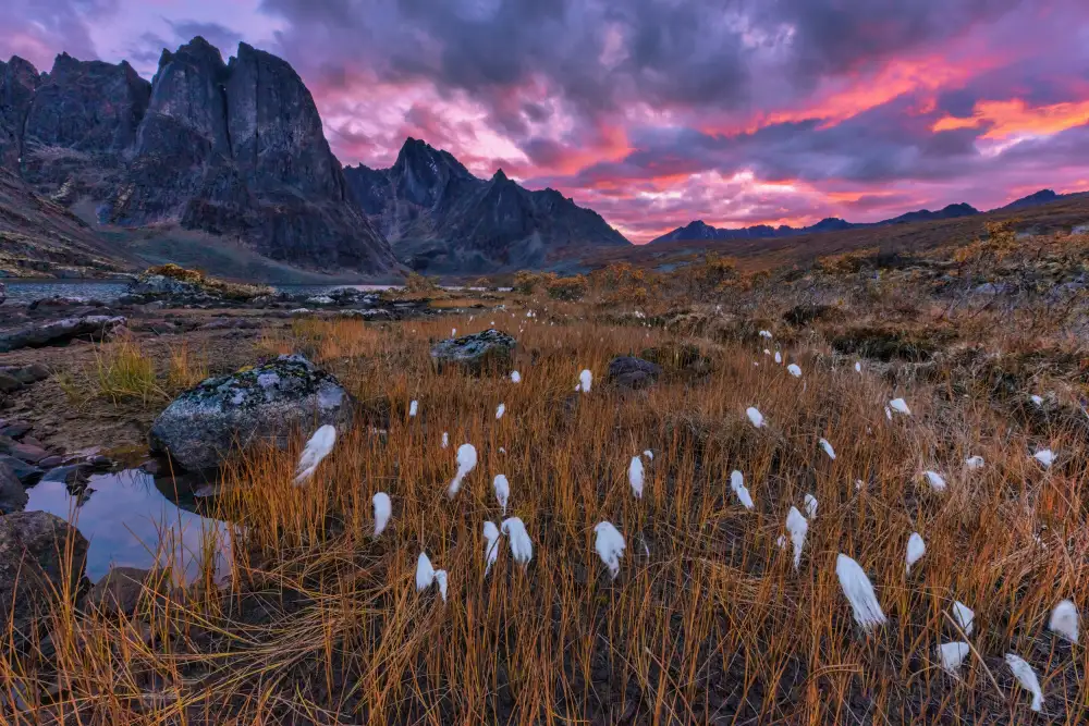 Zuo, Jun: Couleurs d'automne dans la montagne