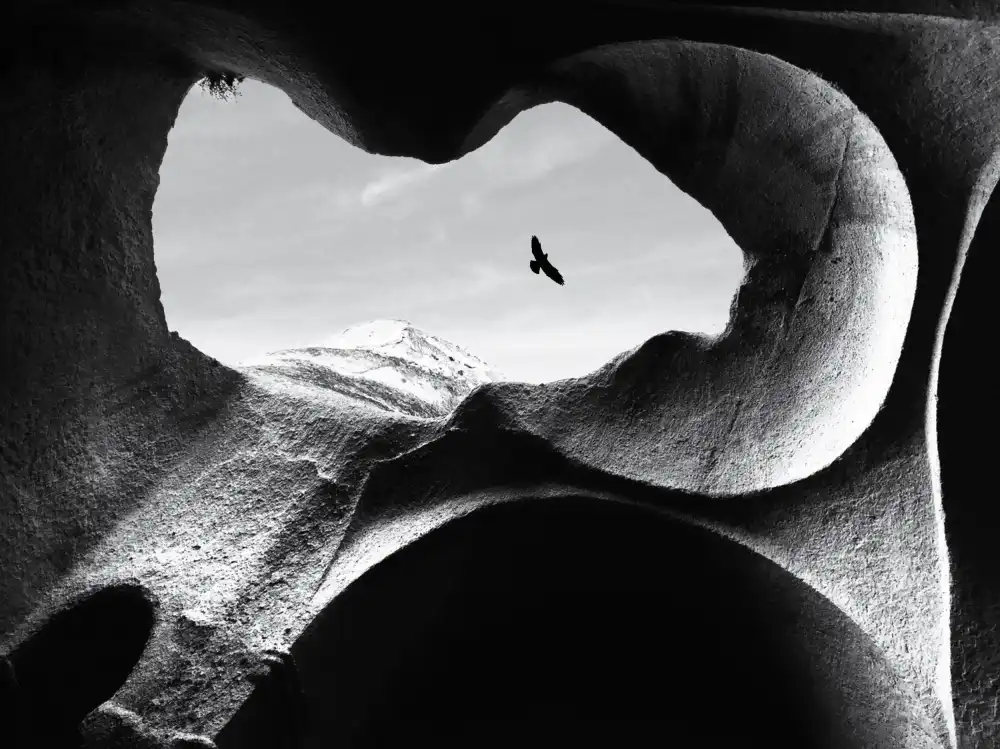Lammakmak: bird of the sky