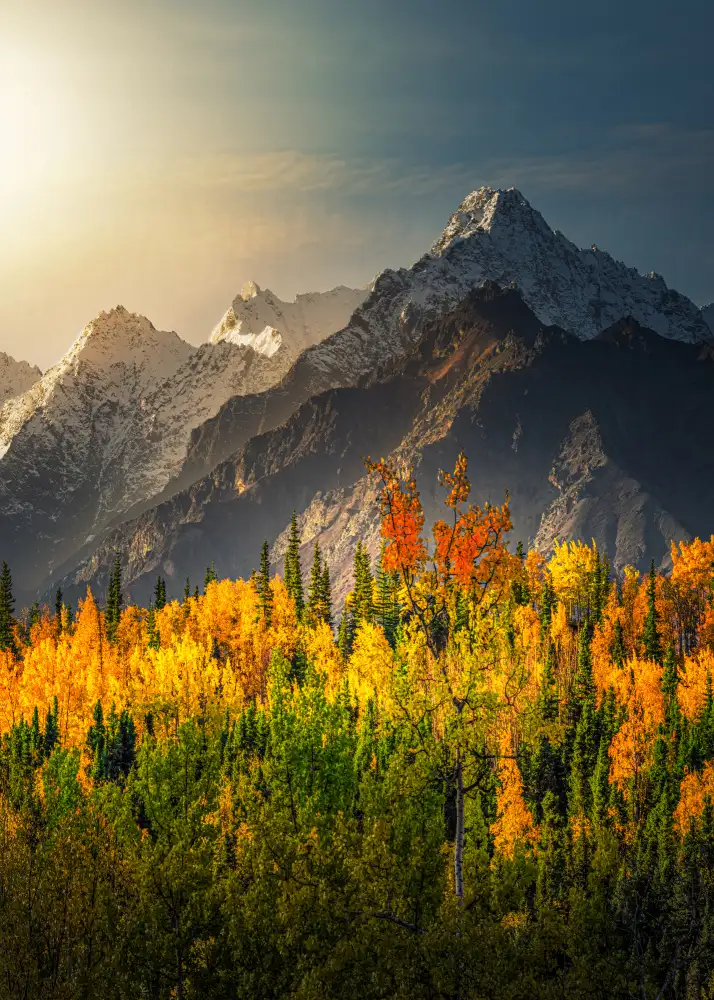 Wei, and Siyu: Une vallée en Alaska