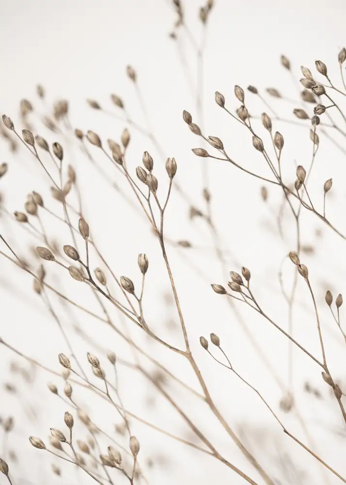 Pienaar, Kathrin: Wild Grass