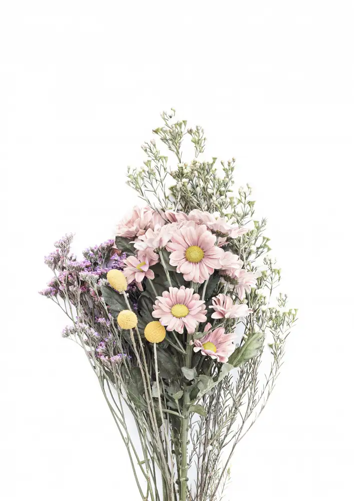 Pienaar, Kathrin: Wildflowers