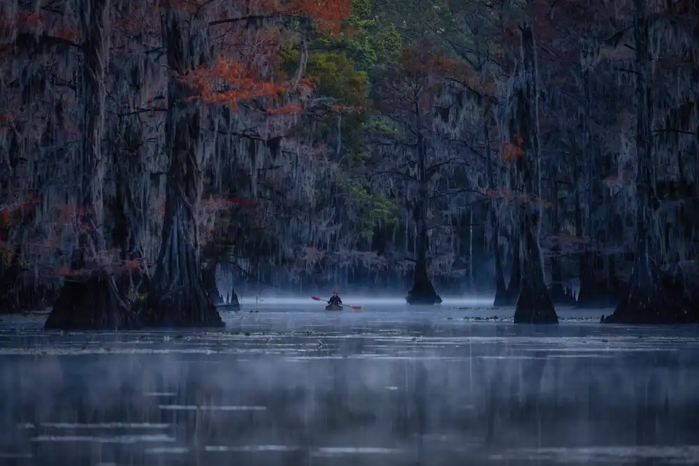 Zheng, Michael: L'autunno sta arrivando a Caddo Lake