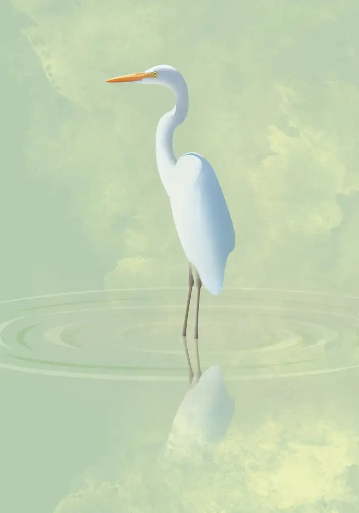 Caballero, Franco: Heron