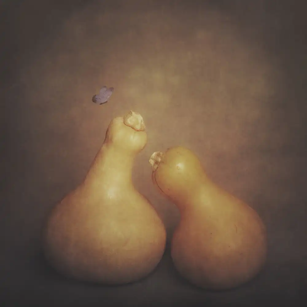Kiral, Cicek: Zucche