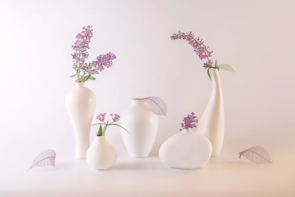 May, G.: Sommerflieder