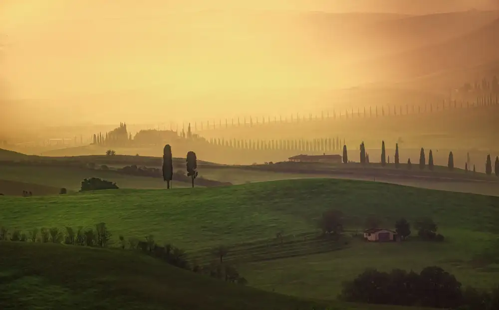 Yang, Jianping: Tuscany