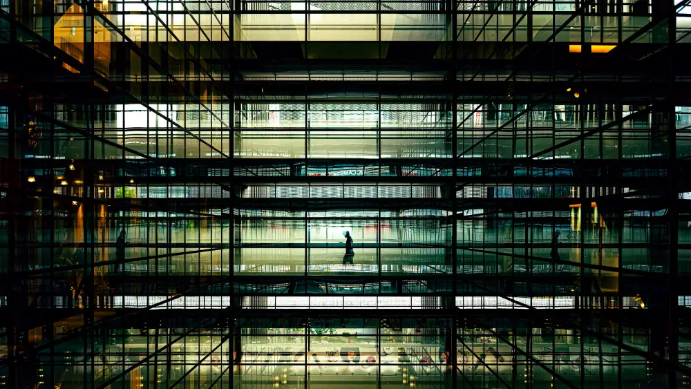 Fujii, Yuzo: The Window Glass Reflection