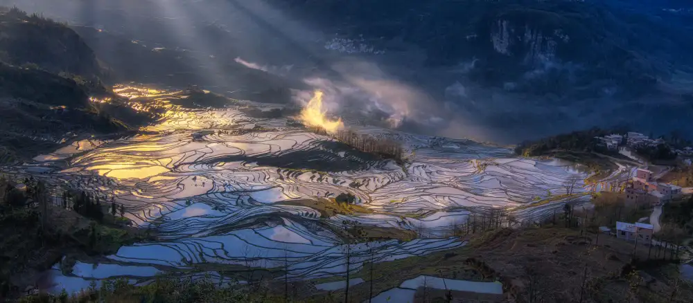 Zhang, Johnny: Terrace