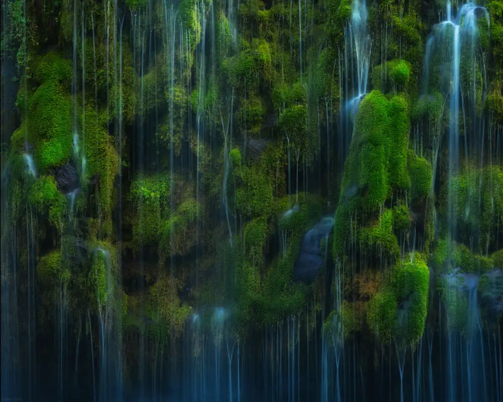 Zhang, Johnny: Mossy Waters
