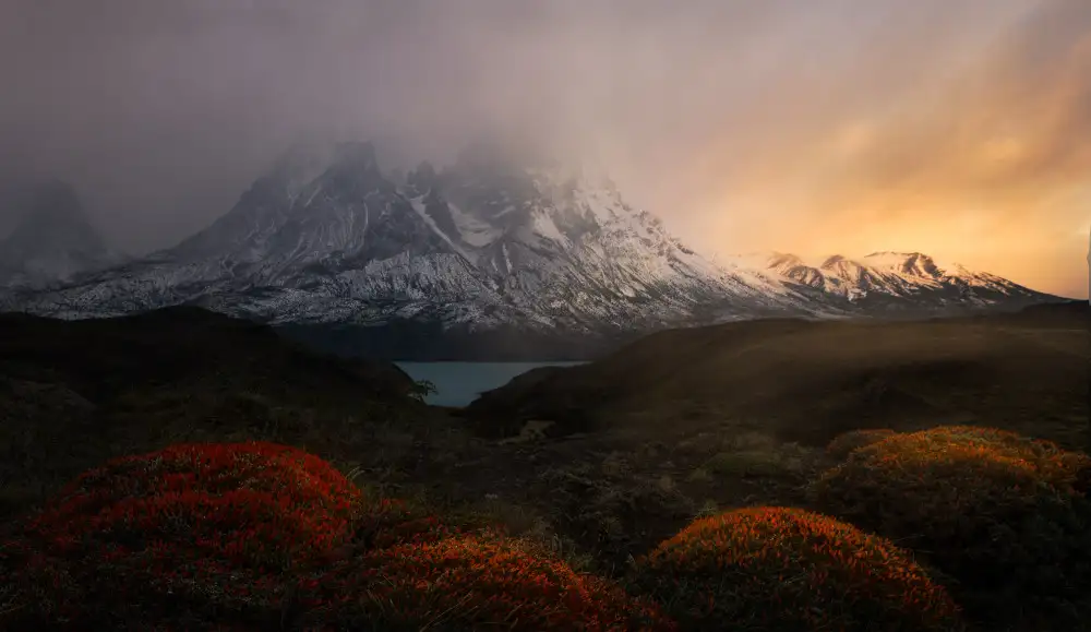 Liu,, Yanny,: Spring time at Patagonia