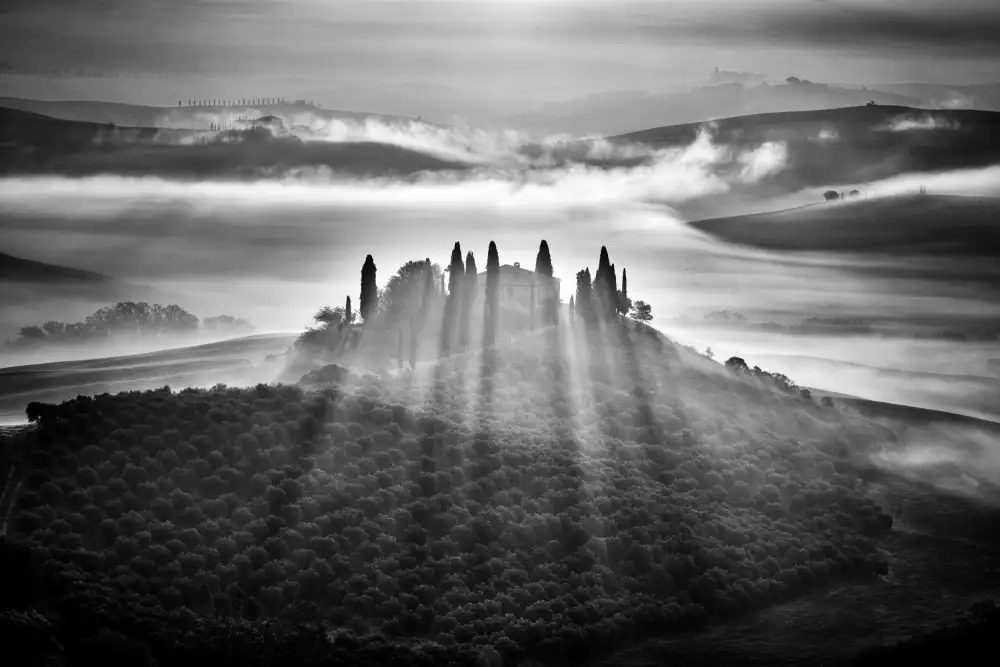 Froyda, Martin: TUSCANY