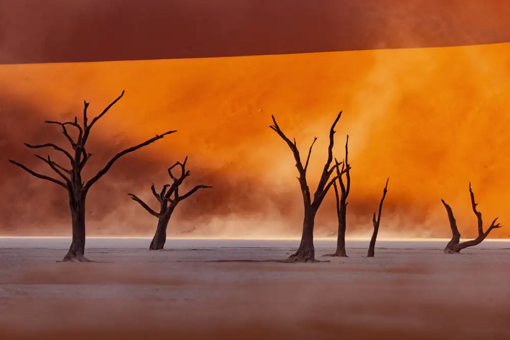 Buliga, Gina: Namibia: The Spirit of Wilderness