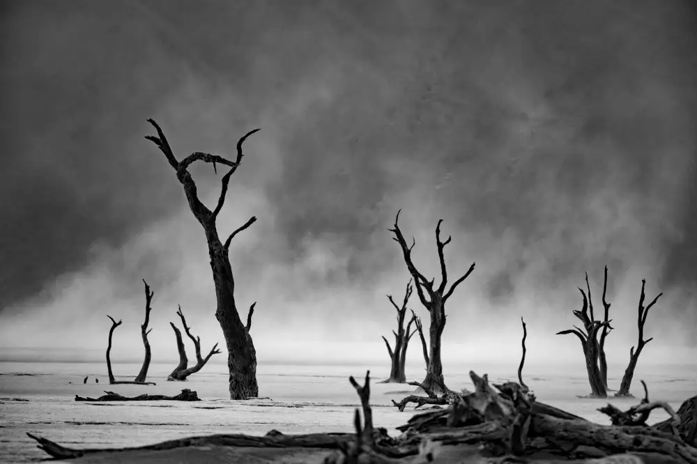 Buliga, Gina: Namibia: The Spirit of Wilderness
