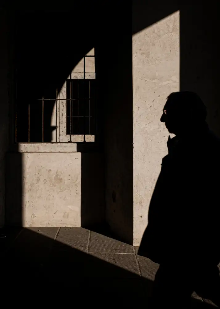 Domenichi, Luca: insider
