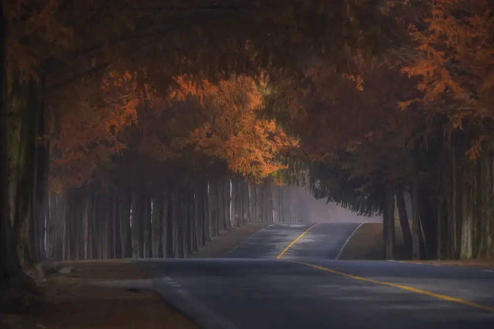 Seo, Tiger: Morning of Nov