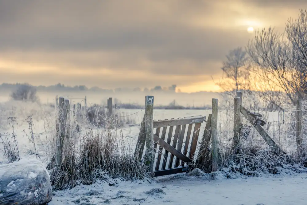 Pap-Tolstrup, Soeren: Winter gate