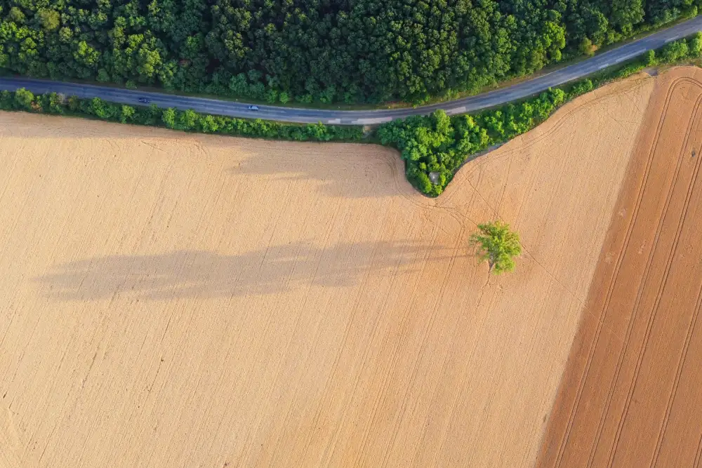 R, Bogdan Mihai: Land