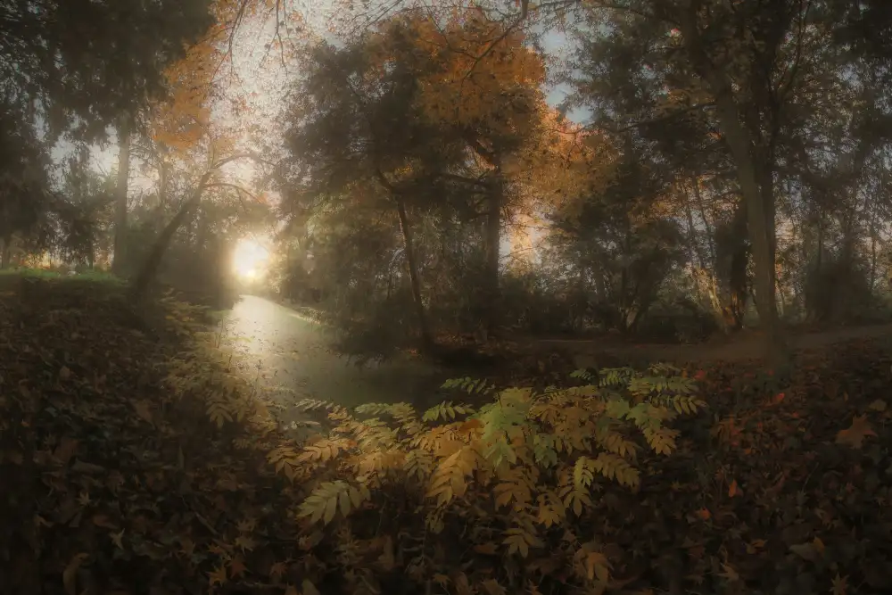 Casanova, Francois: Autumn at Balaine