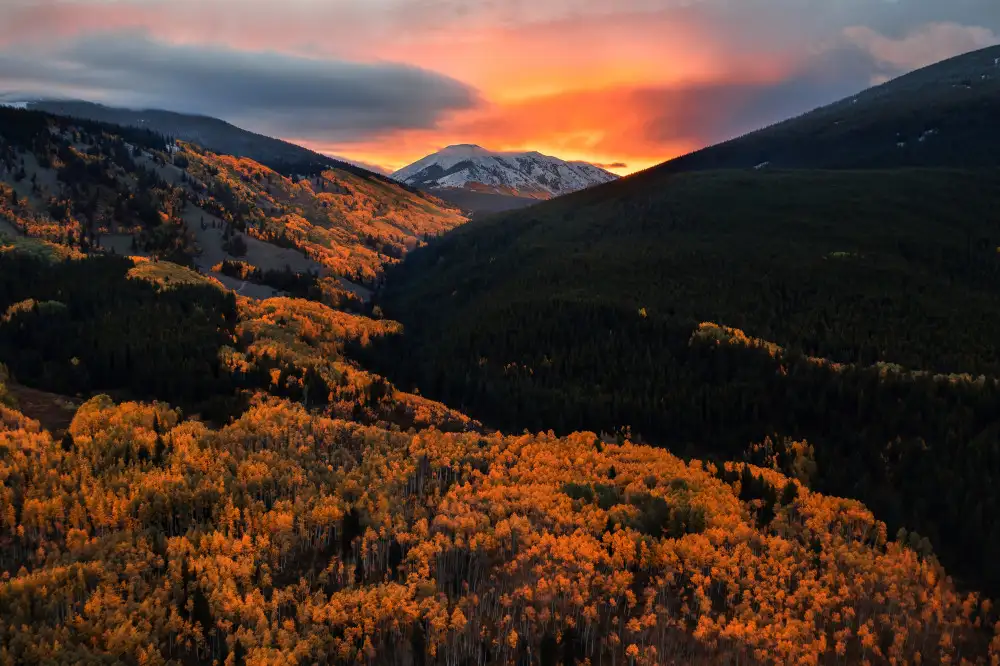 Fan, John: Color of Valley