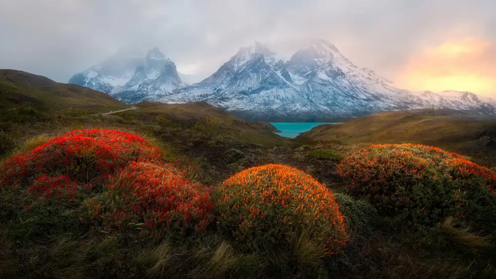 Wei, Rong: Spring in Patagonia