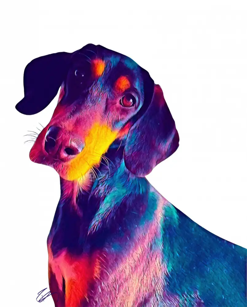 Day, Ruth: Finn Dog