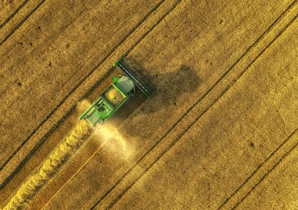 Krier, Guy: the harvester