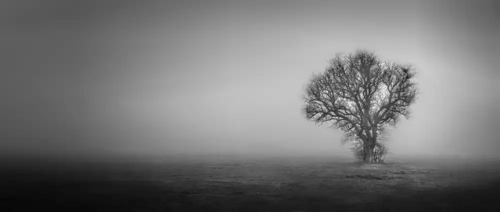 peteghium, av: Im Nebel und mitten auf den Feldern