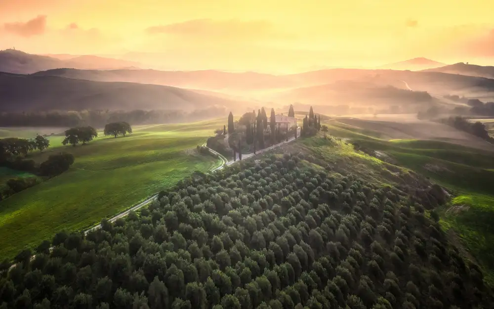 Yang, Jianping: Tuscany Morning
