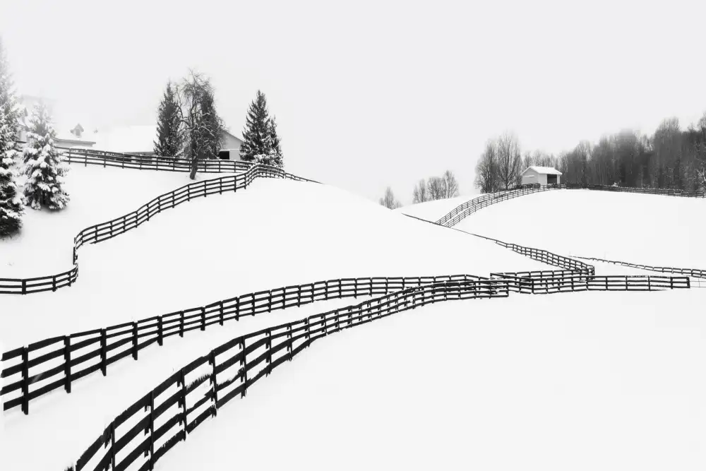 Zhao, Emma: Ferme en hiver
