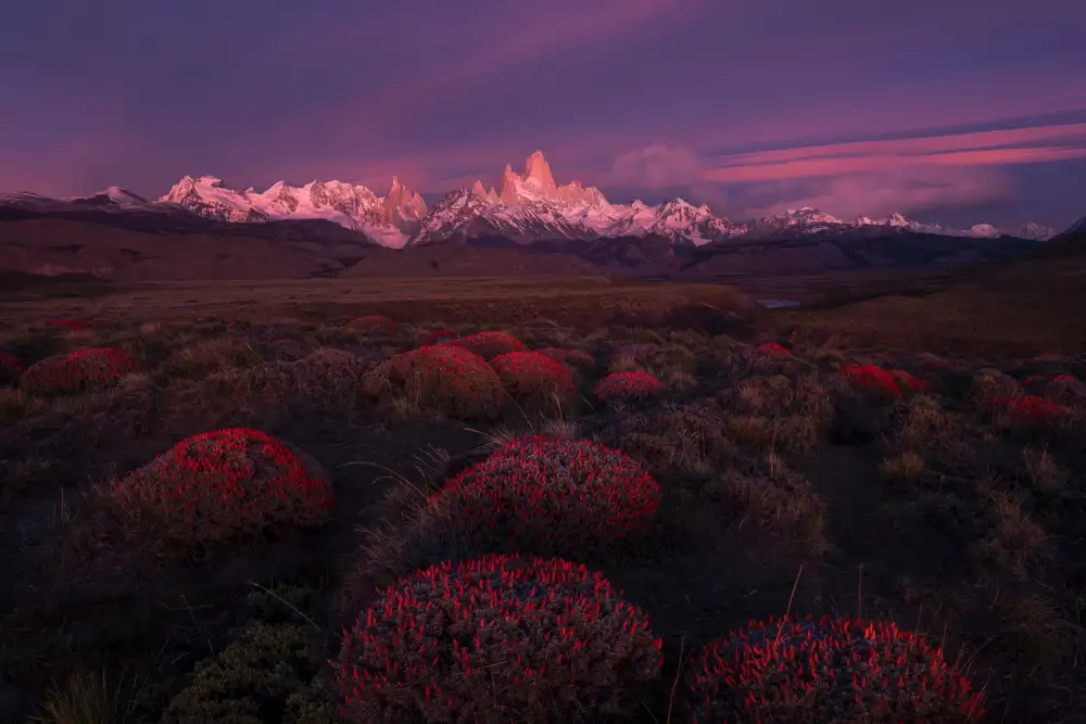 P., Ruiqing: Spring in Torres del Paine