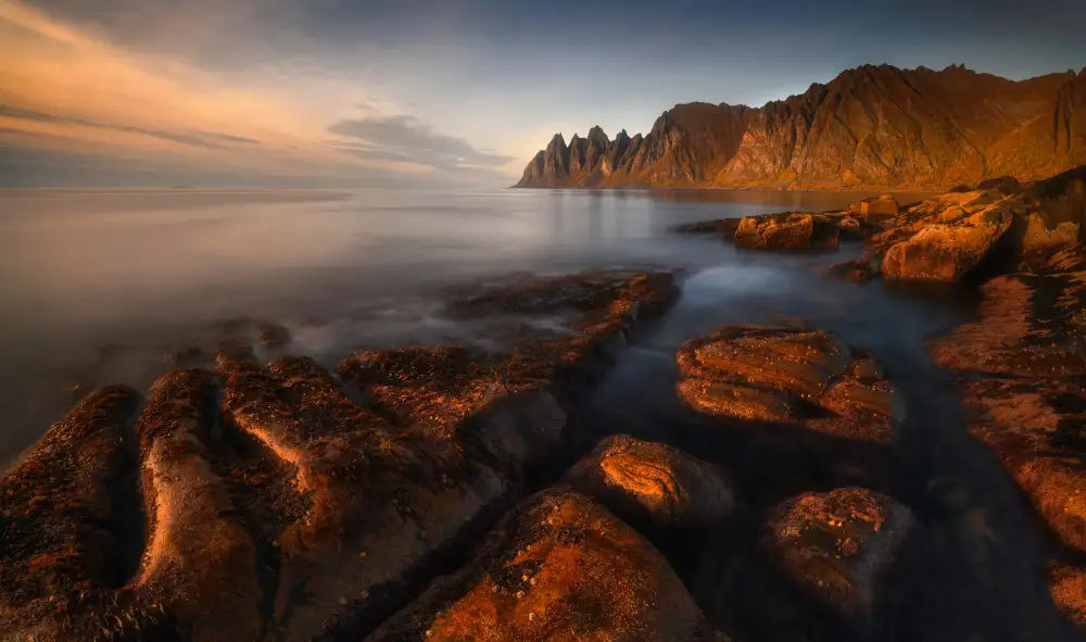 Rojek, Tomasz: Senja