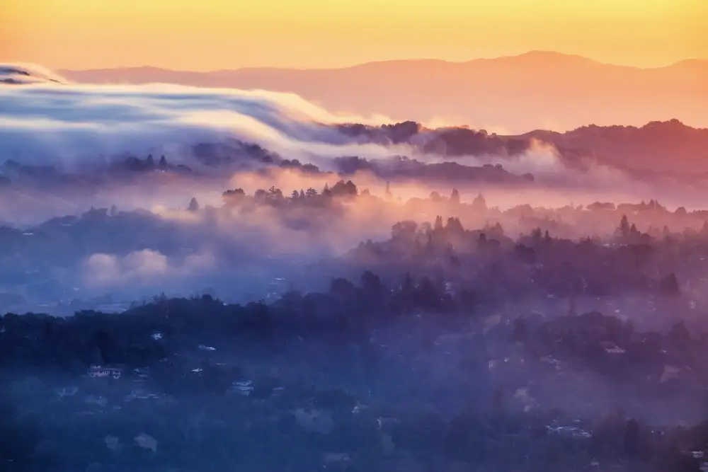 Qiu, Jenny: Moring Nebel in Berkeley