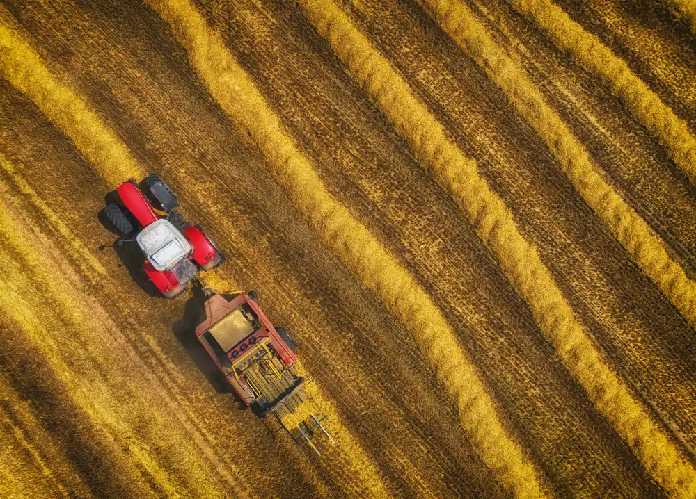 Krier, Guy: Straw