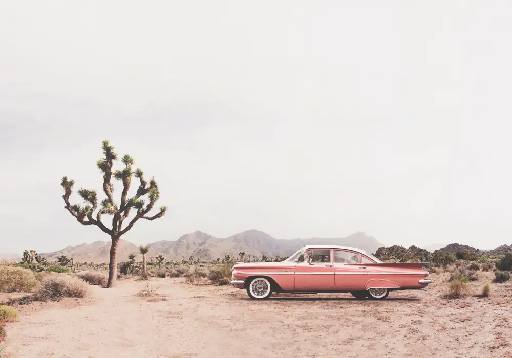 Pienaar, Kathrin: In the desert