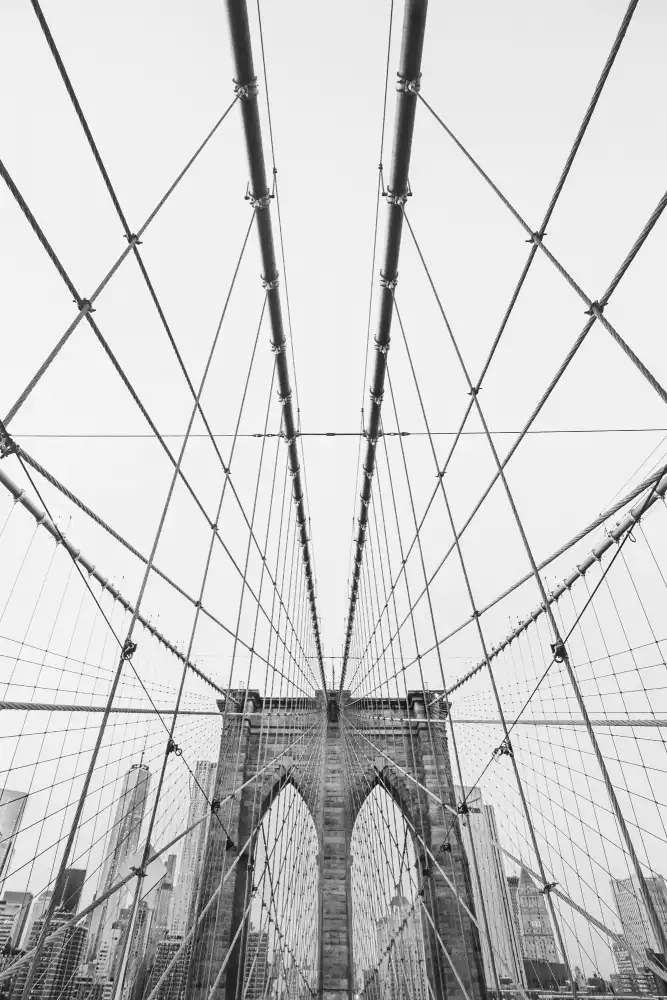 Pienaar, Kathrin: Brooklyn Bridge