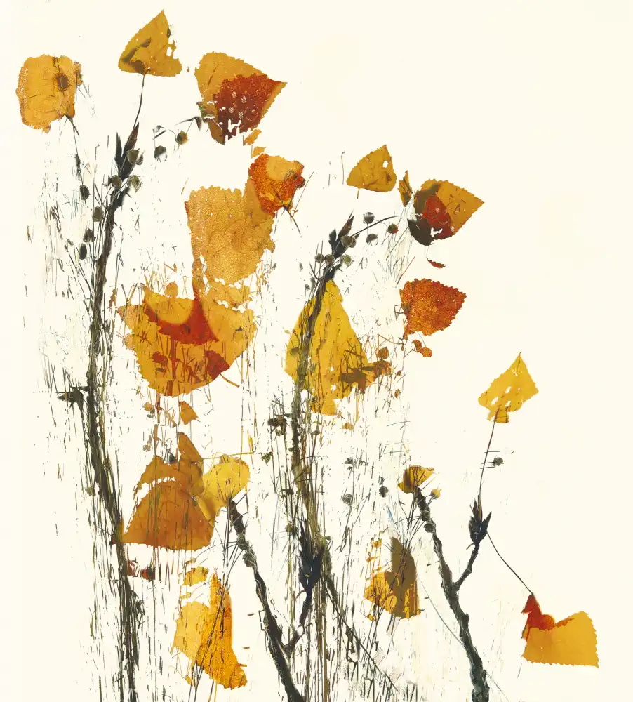 Talen, Nel: Leaves still life