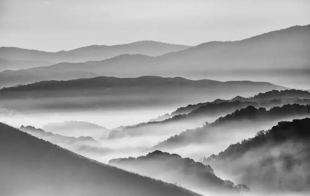 Qiu, Jenny: Le montagne